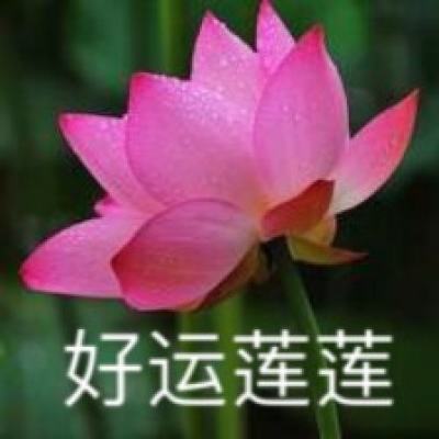 招摇如霜手游(暂未上线)v1.0 安卓版